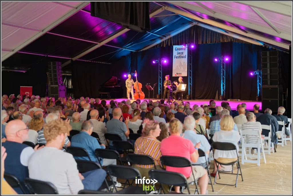 Musicien sur scène au Gaume Jazz Festival 2026 à Rossignol — photo Gustave KABONGO