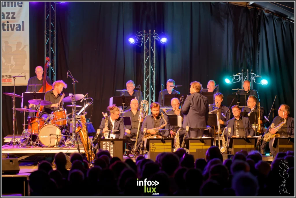 Musicien sur scène au Gaume Jazz Festival 2026 à Rossignol — photo Gustave KABONGO