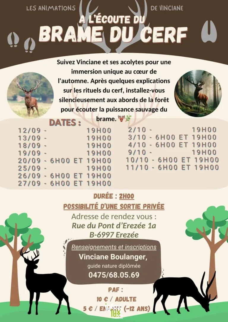 Erezée > Balade > A l’écoute du brame du cerf 2026