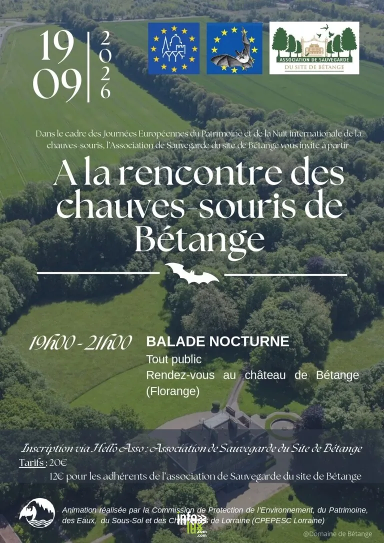 Florange > Sorties & Découvertes > A la découverte des chauves-souris de Bétange