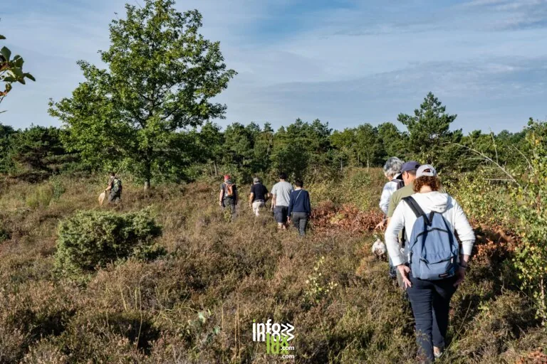 Le Mesnil-sur-Oger > Patrimoine > A la découverte des Pâtis du Mesnil
