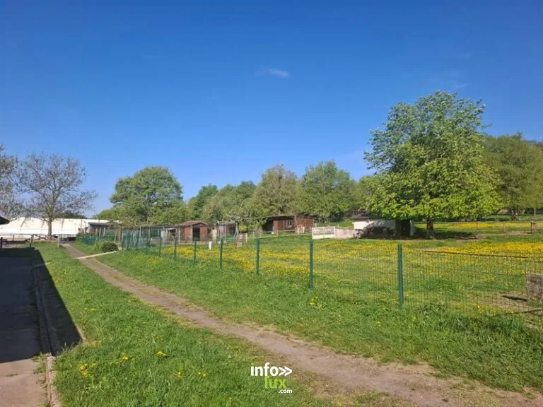 Centre de loisirs à Art-sur-Meurthe : infos pratiques et accès