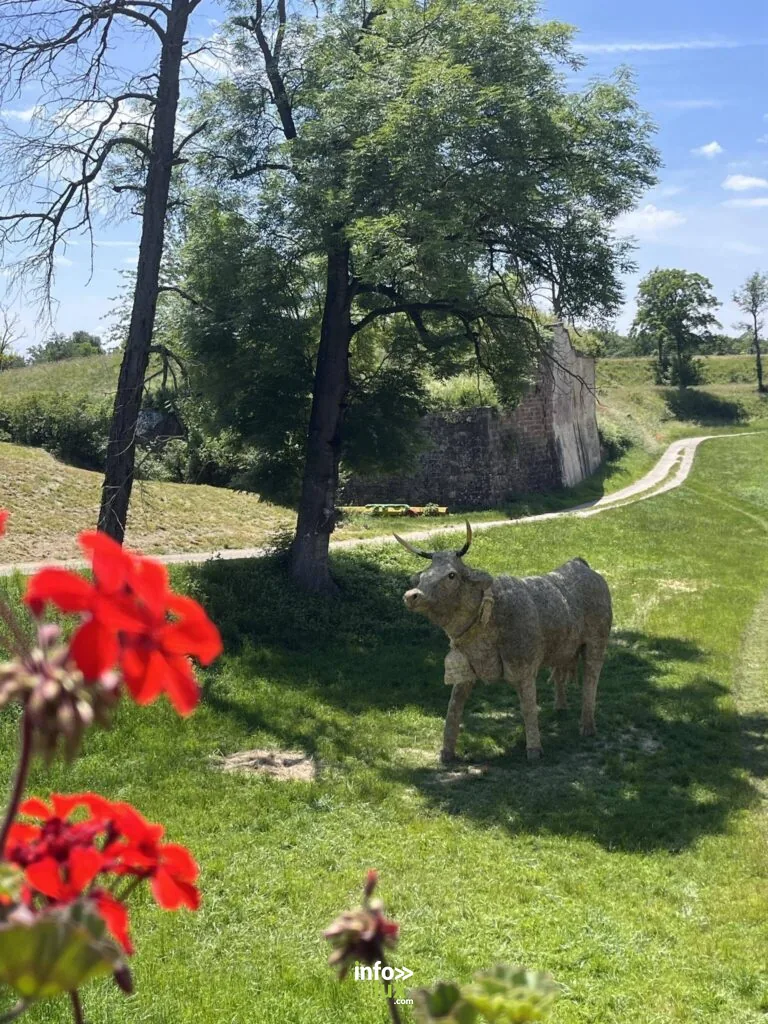Neuf-Brisach > Patrimoine > Animation portant sur le patrimoine naturel de Neuf-Brisach