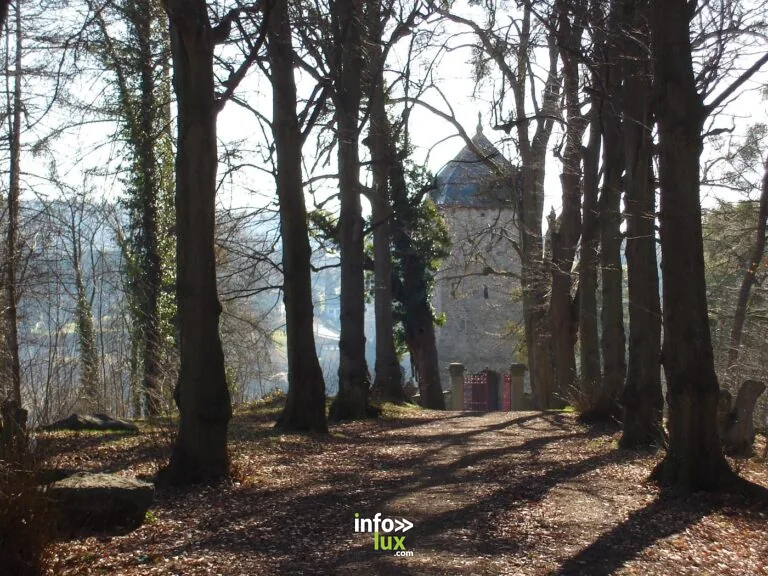 Comblain-au-Pont > Patrimoine > Archéologie 2026