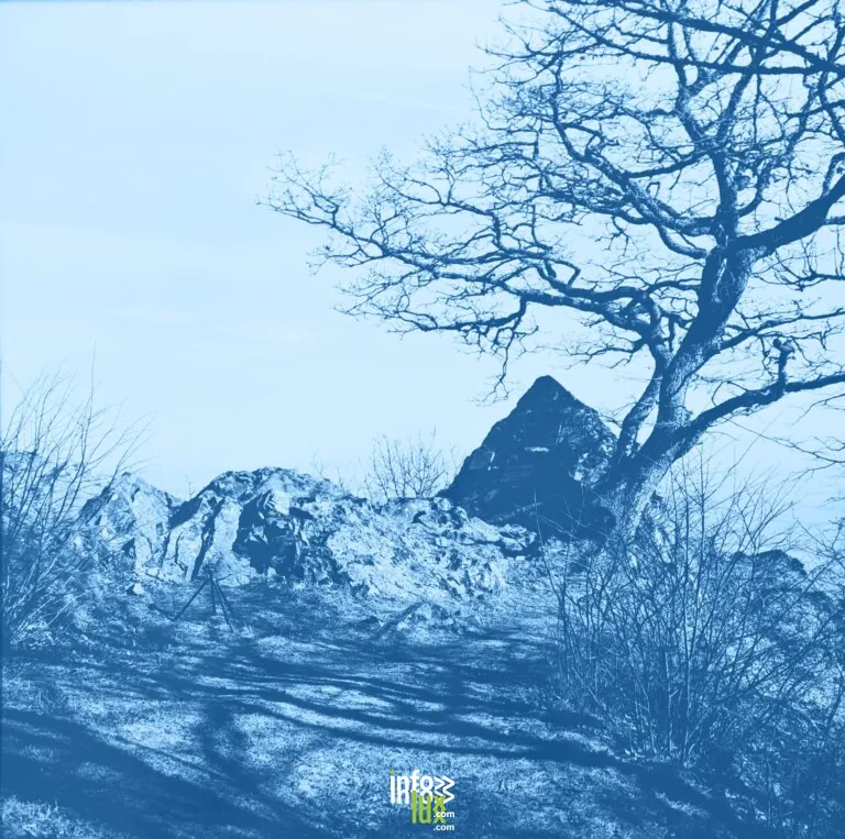 Uffholtz > Exposition > Atelier de cyanotype – photographies d’archives !