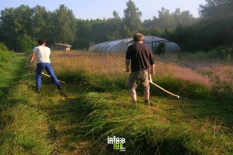 Chiny > Atelier > Apprendre la fauche manuelle