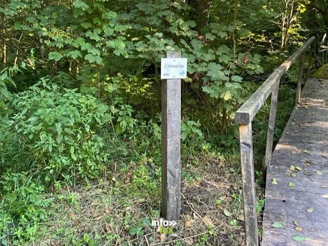 Autour de l'Almache à Daverdisse : randonnée de 9,15 km
