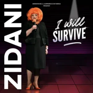 Zidani dans « I will survive » — Theatre Bonair, Braine-l'Alleud