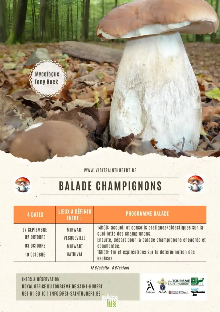 Saint-Hubert > Balade > Balade champignons 2026