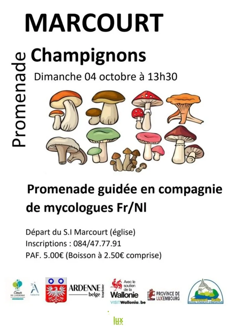 Balade Champignons 2026
