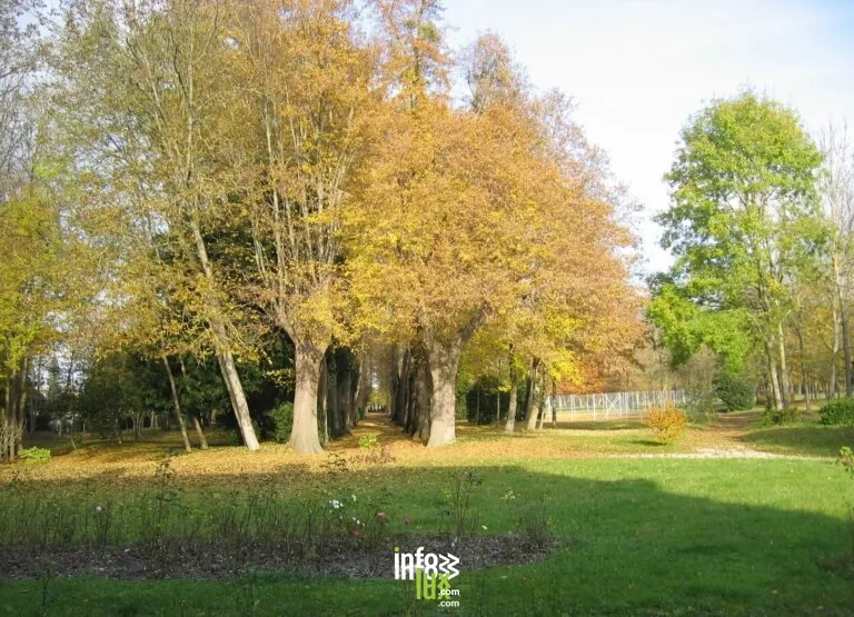Saint-Julien-les-Villas > Balade & Randonnée > Balade commentée d’un patrimoine naturel tricentenaire