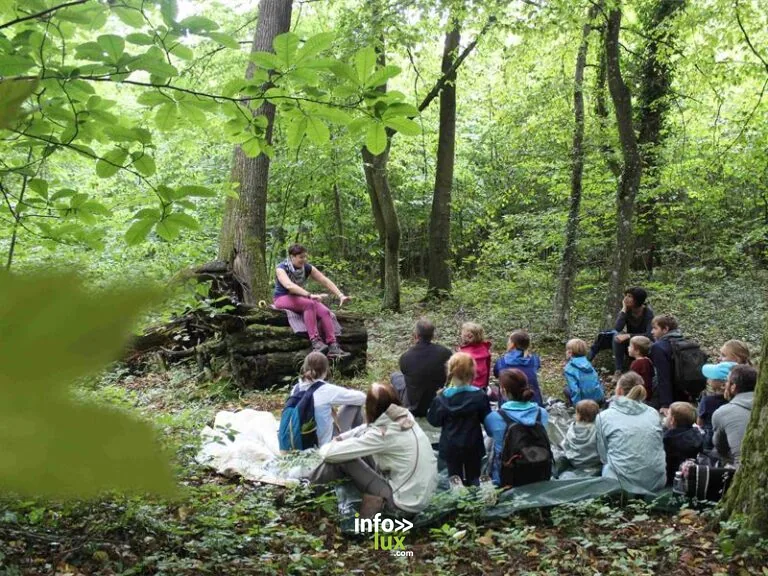 Balade contée Echos de la forêt à Bitche