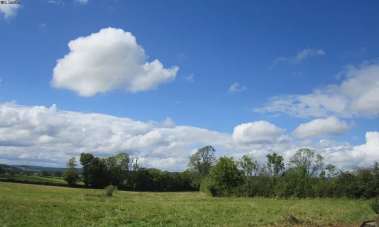 Grand ciel bleu et nuages au-dessus des prairies entre Gaume et Ardenne, à Florenville
