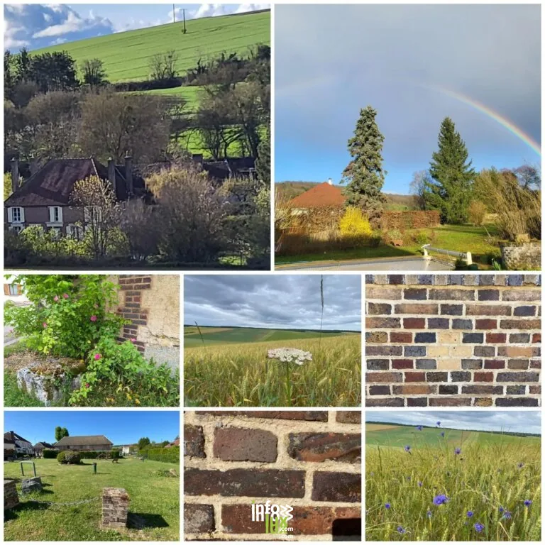 Vauchassis > Balade & Randonnée > Baladez-vous et découvrez la nature du village