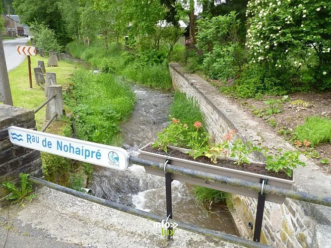 Le Bois de Hampteau à Hotton : randonnée de 9,4 km