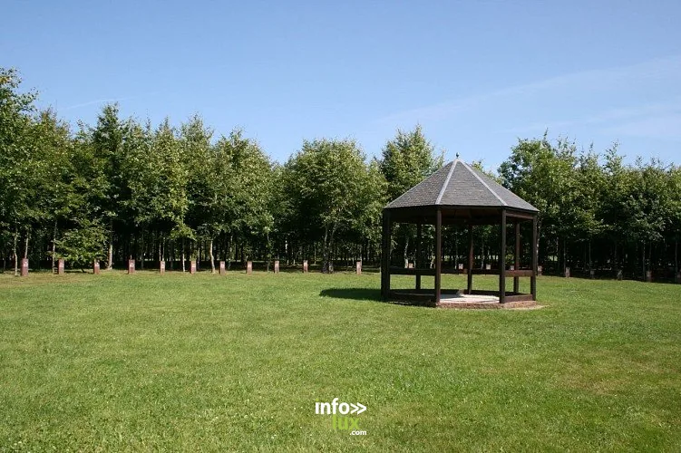 Randonnées à Bastogne : 11 balades nature et mémoire