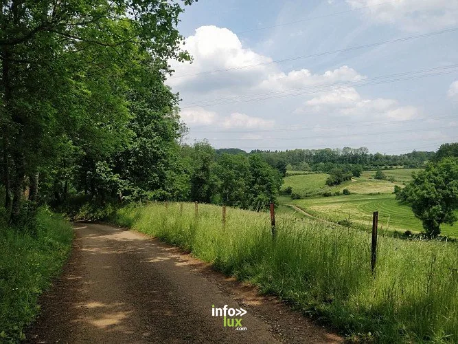 La boucle Gallor n°9, sur les traces des Romains à Aubange (Battincourt) : randonnée de 9,7 km
