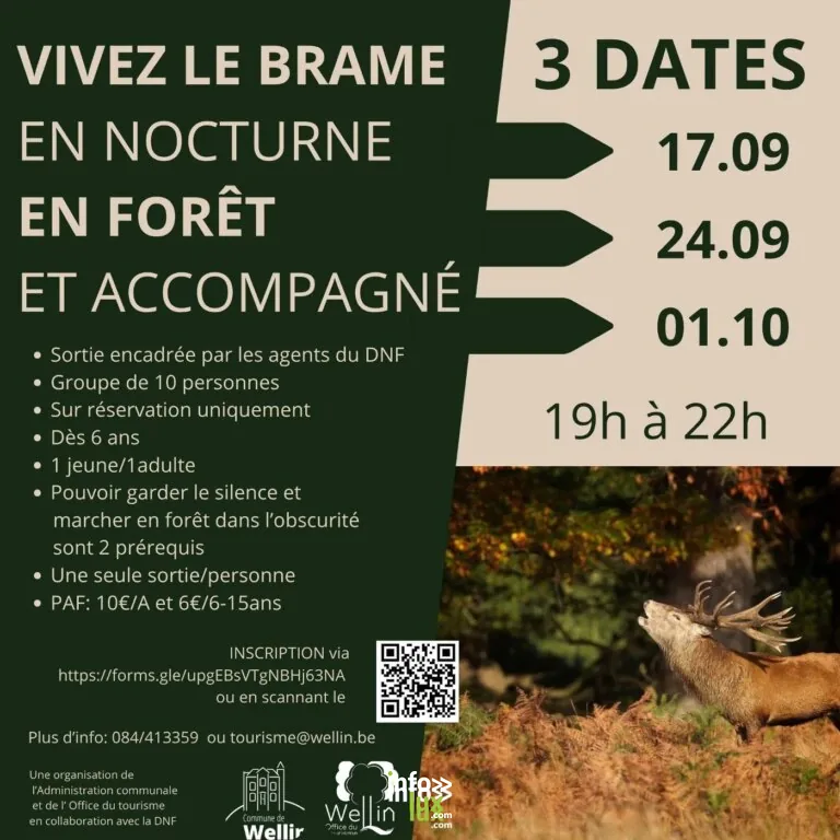 Brame du cerf 2026