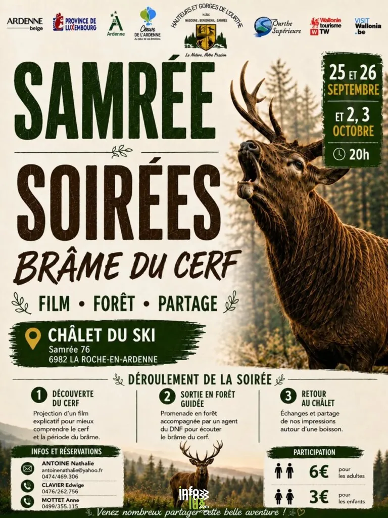 Brame du cerf à Samrée 2026