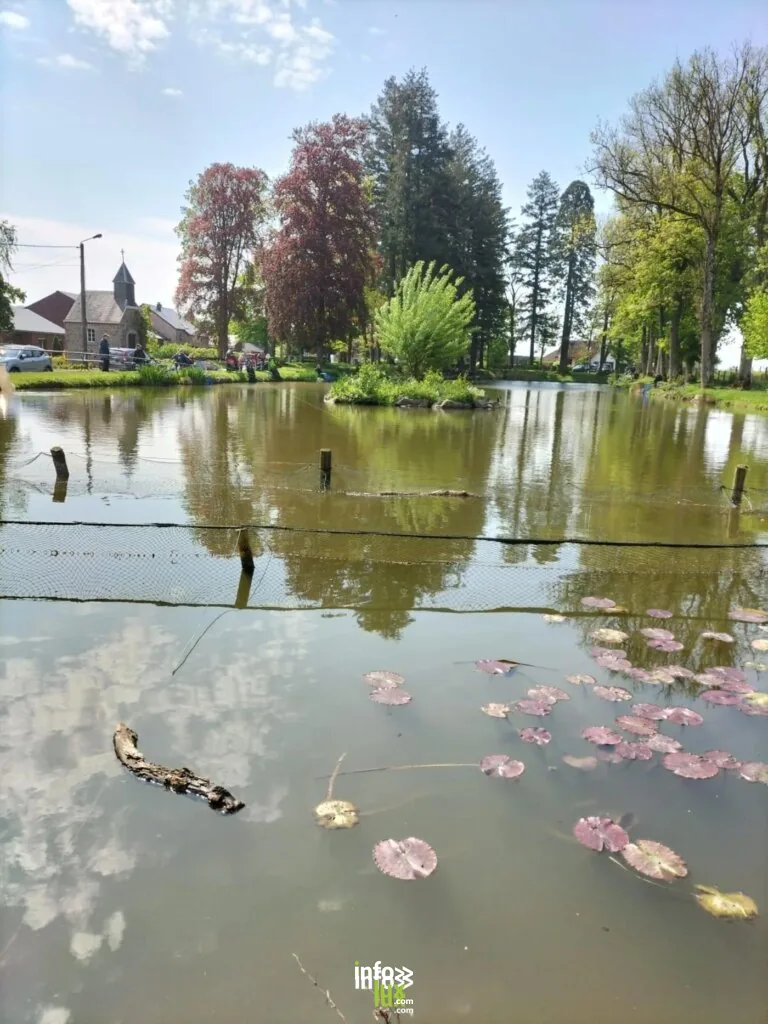 Nassogne > Brocante > Brocante des Goffes 2026