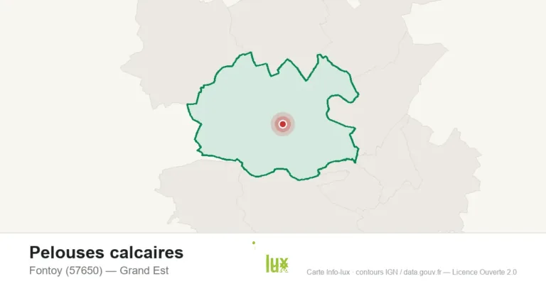 Pelouses calcaires à Fontoy