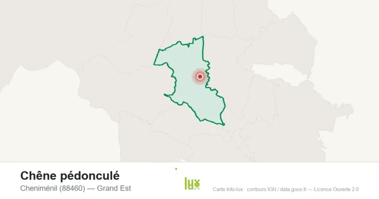 Carte de localisation de Chêne pédonculé à Cheniménil (88460)