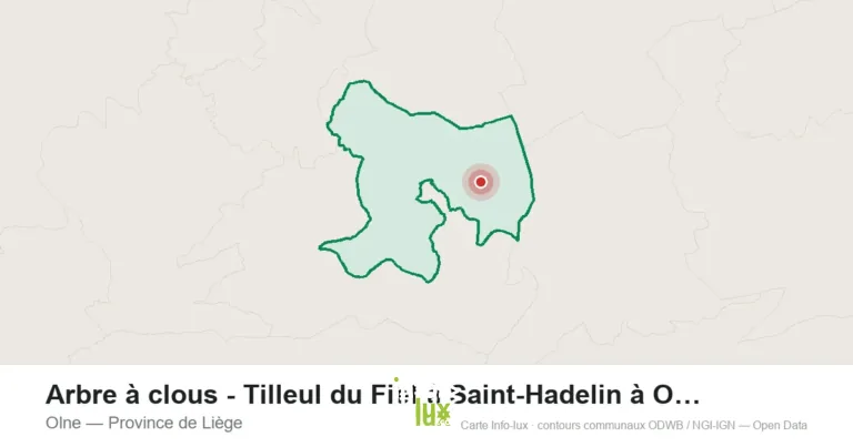 Arbre à clous – Tilleul du Fief à Saint-Hadelin à Olne