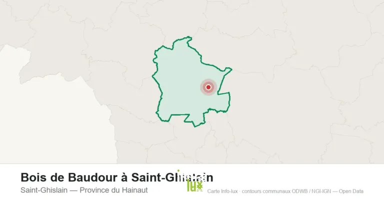 Bois de Baudour à Saint-Ghislain
