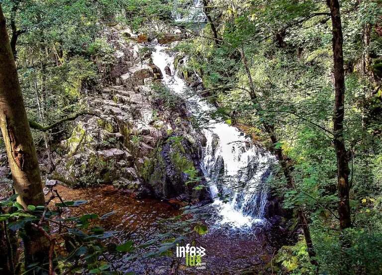 Cascade du Saut du Bouchot à Sapois