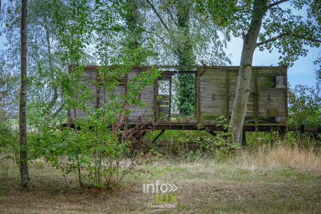Ancien wagon de bois abandonné parmi les arbres, sur le site minier