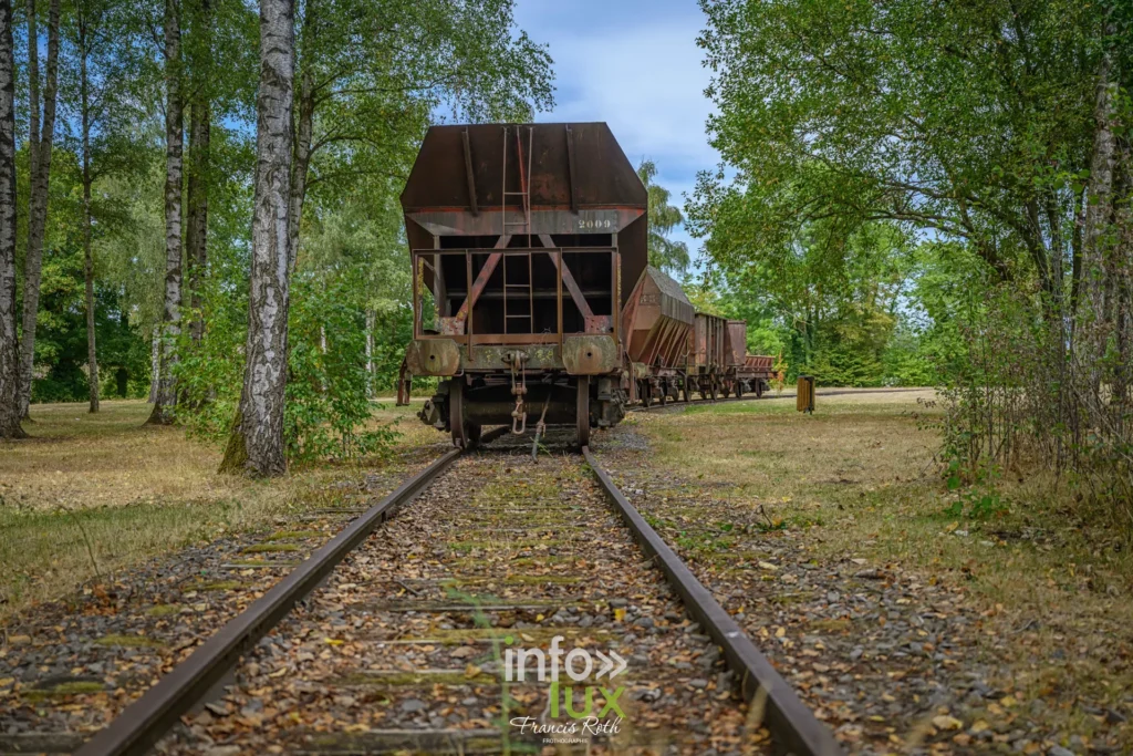 Wagonnet sur ses rails, encadré de bouleaux, sur le site de la fosse Delloye