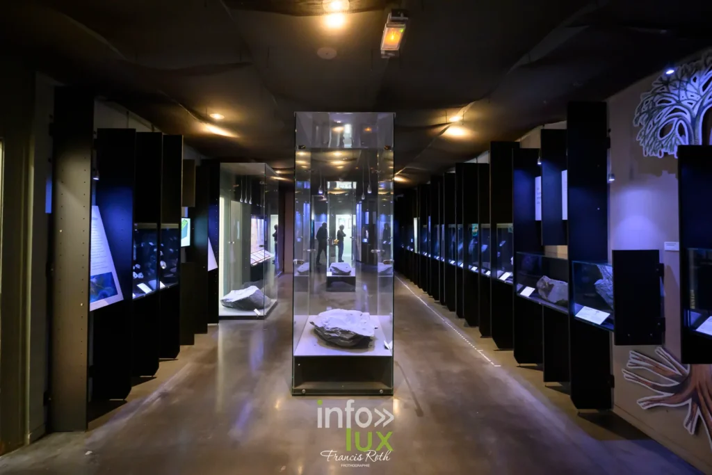 Salle d'exposition aux éclairages bleus au Centre Historique Minier de Lewarde