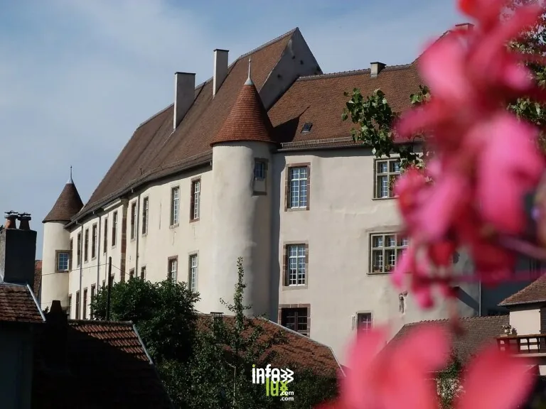 Château de Fénétrange