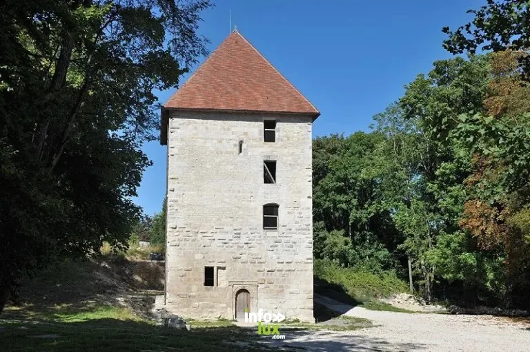 Château de Vignory
