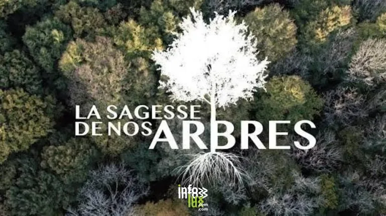 Gembloux > Conférence > Ciné insolite à l’Orée du Bois de Grand-Leez 2026