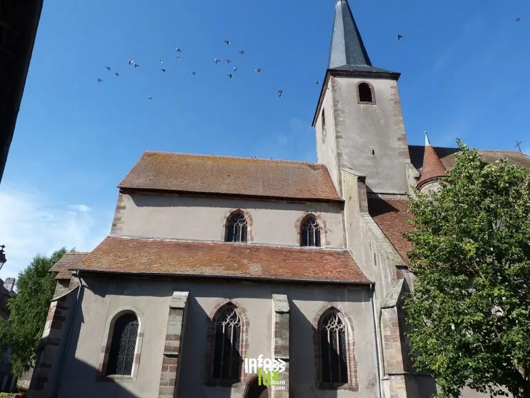 Collégiale Saint-Rémy à Fénétrange