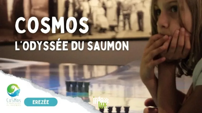 Hotton > Sortie > CoSMos – l’Odysée du saumon 2026