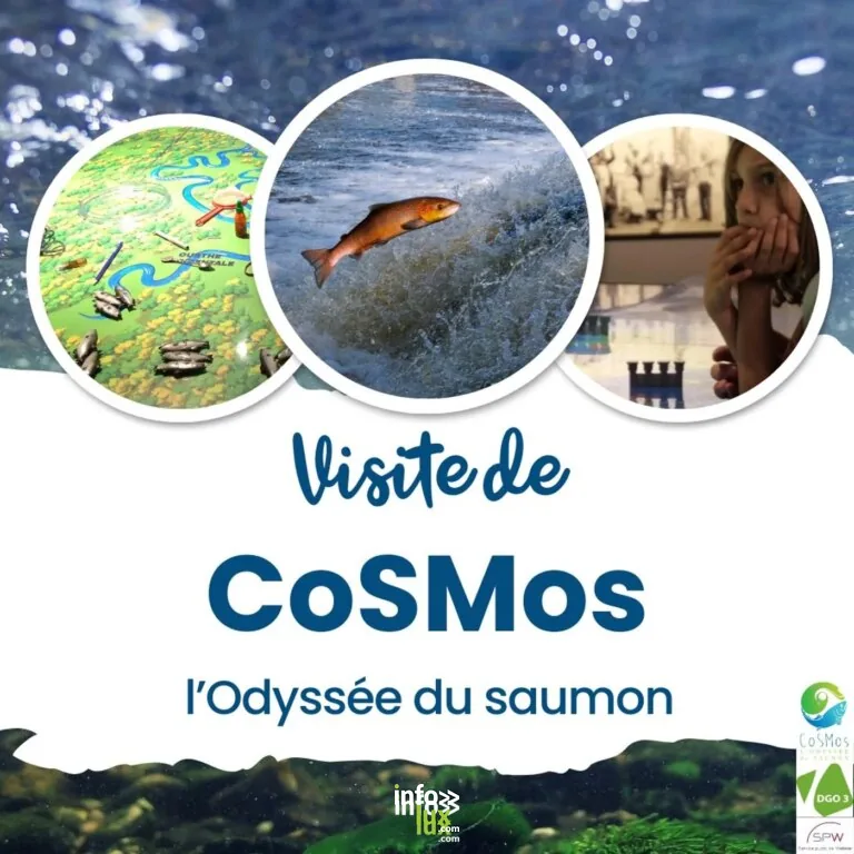 Erezée > Sortie > CoSMos, l’odyssée du Saumon 2026