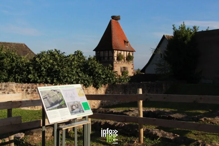 Châtenois > Sorties & Découvertes > Découverte du Jardin Archéologique : trésors de l’époque médiévale
