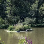 Domaine provincial de Chevetogne, province de Namur — photo 7
