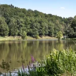 Domaine provincial de Chevetogne, province de Namur — photo 11