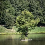 Domaine provincial de Chevetogne, province de Namur — photo 13