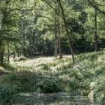 Domaine provincial de Chevetogne, province de Namur — photo 15