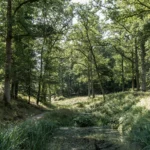 Domaine provincial de Chevetogne, province de Namur — photo 16