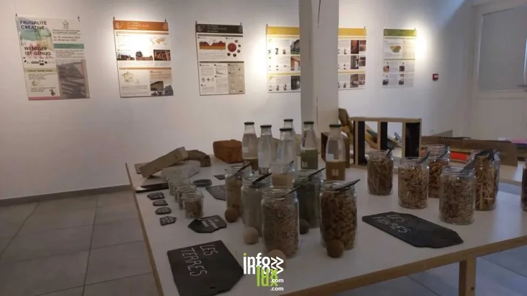 Reims > Exposition > Exposition “La terre, un grand cru(e)”