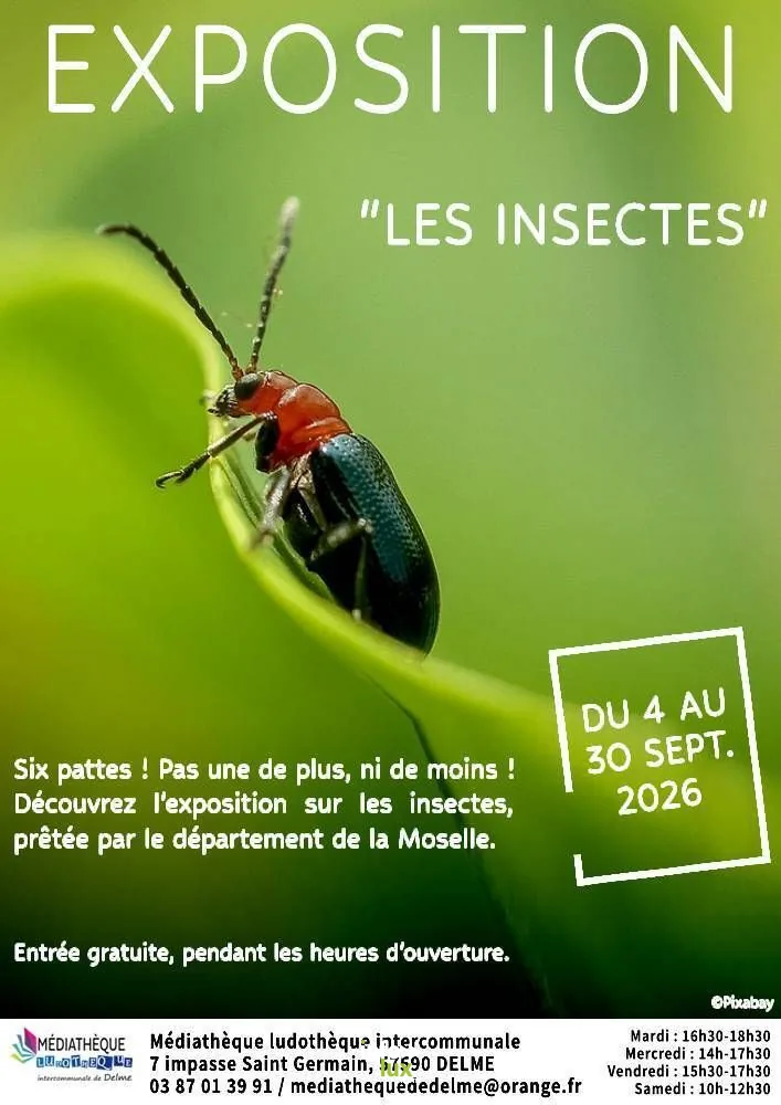 Delme > Exposition > Exposition « Les Insectes »