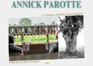 Exposition photos : Annick Parotte 2026 — Verviers Exposition photos : Annick Parotte 2026 — Verviers