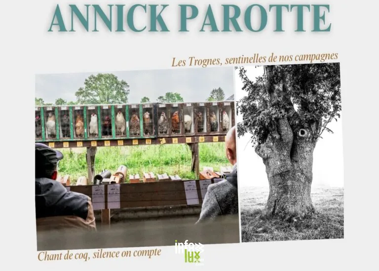 Verviers > Exposition > Exposition photos : Annick Parotte 2026