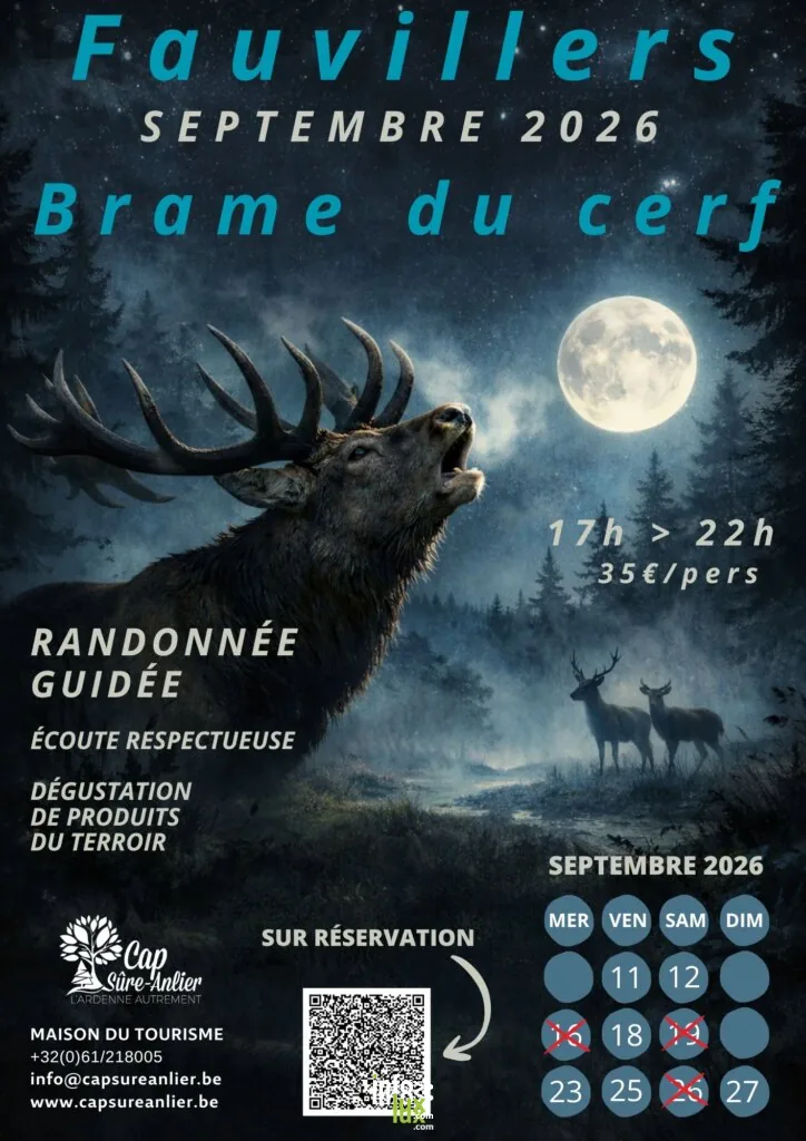 Fauvillers > Balades nature > Soirées brame du cerf - affiche