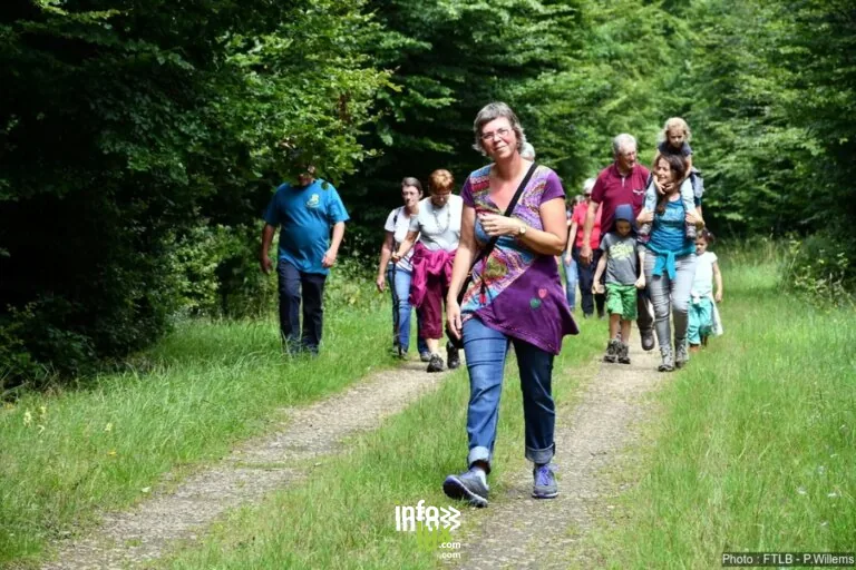 Vaux-sur-Sûre > Festival > Festival des balades 2026